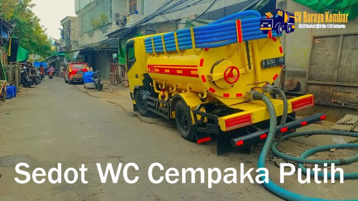 jasa sedot wc cempaka putih