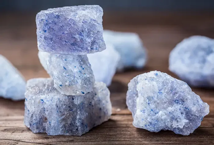 sedot wc anti mampet