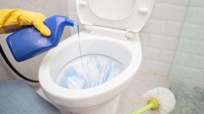 pembersih toilet