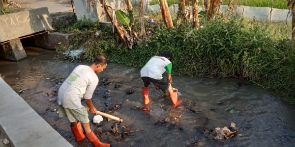 jasa sedot wc di cakung 