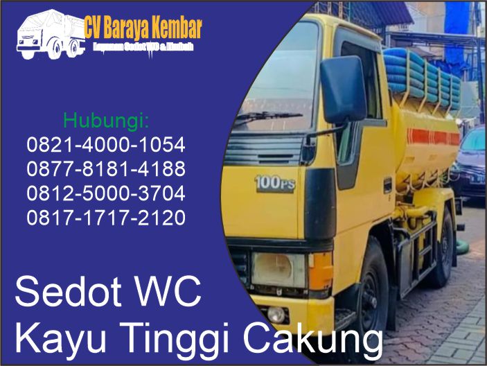 jasa sedot wc kayu tinggi
