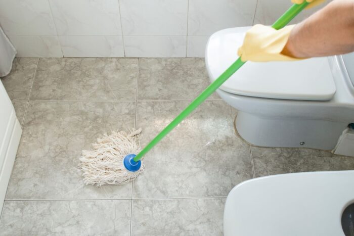 jasa sedot wc taman mini