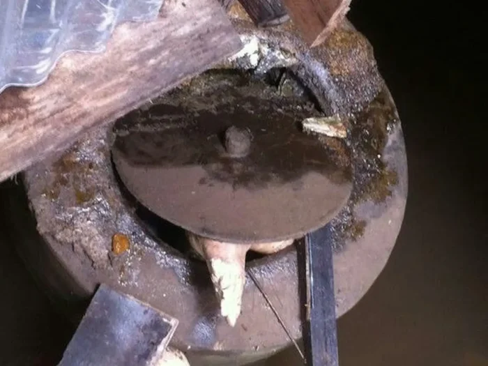 mengatasi septic tank meluap