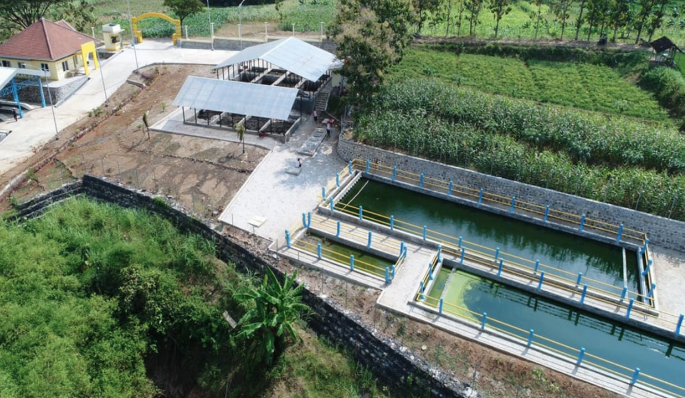 cara mengolah limbah dari sedot wc